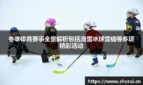 冬季体育赛事全景解析包括滑雪冰球雪橇等多项精彩活动