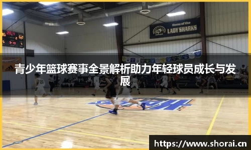 青少年篮球赛事全景解析助力年轻球员成长与发展
