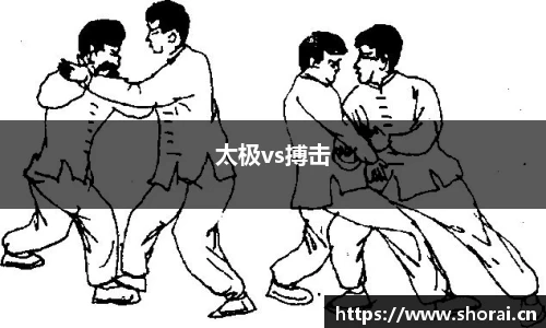 太极vs搏击