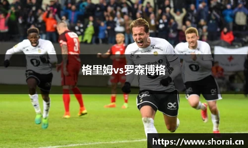 格里姆vs罗森博格