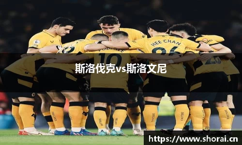 斯洛伐克vs斯洛文尼
