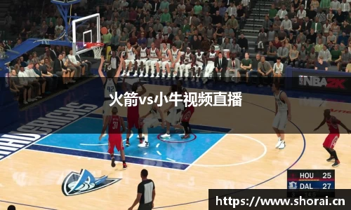 火箭vs小牛视频直播