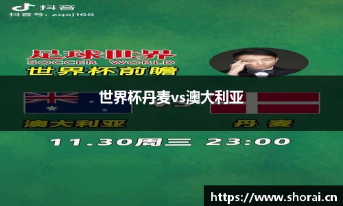 世界杯丹麦vs澳大利亚