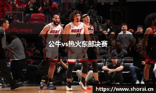 公牛vs热火东部决赛