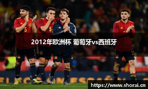 2012年欧洲杯 葡萄牙vs西班牙