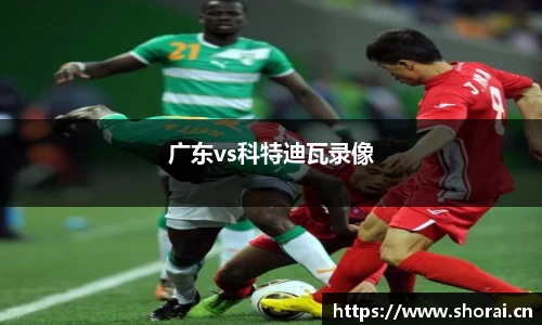 广东vs科特迪瓦录像