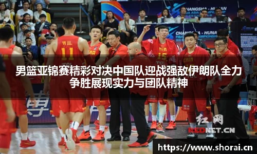 安信12娱乐