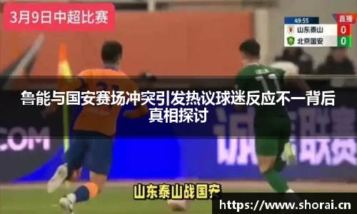 鲁能与国安赛场冲突引发热议球迷反应不一背后真相探讨