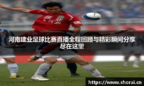 安信12