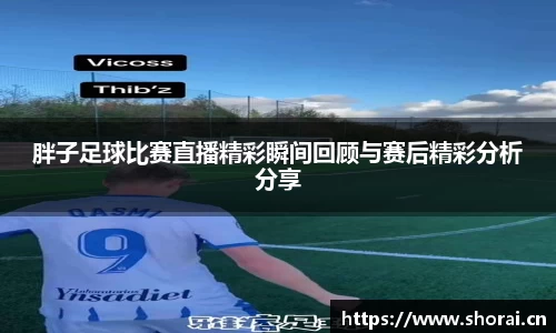 胖子足球比赛直播精彩瞬间回顾与赛后精彩分析分享