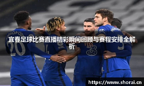 宜春足球比赛直播精彩瞬间回顾与赛程安排全解析