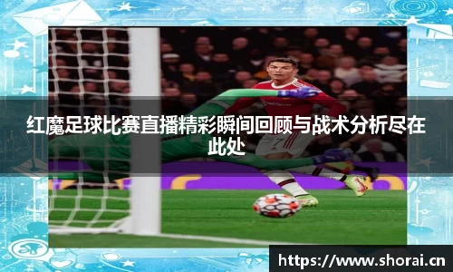安信12娱乐