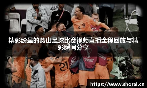 安信12娱乐