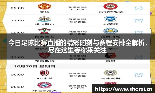 安信12娱乐