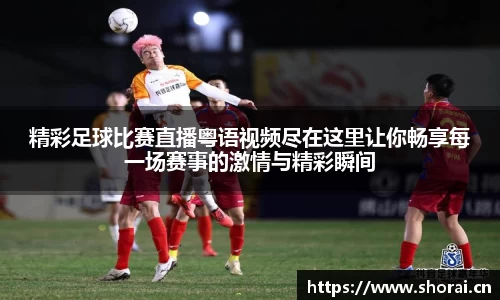 精彩足球比赛直播粤语视频尽在这里让你畅享每一场赛事的激情与精彩瞬间