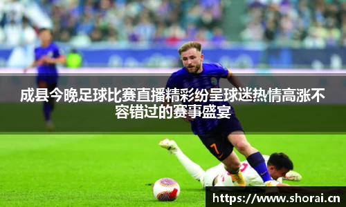 成县今晚足球比赛直播精彩纷呈球迷热情高涨不容错过的赛事盛宴