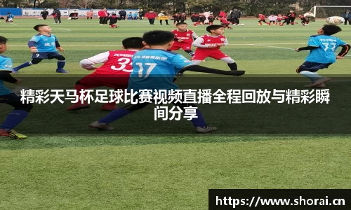 安信12娱乐