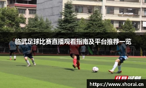 临武足球比赛直播观看指南及平台推荐一览