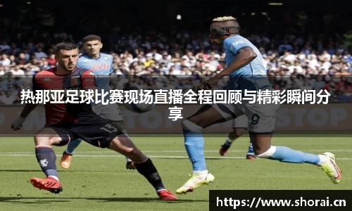 安信12娱乐