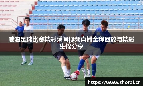 安信12娱乐