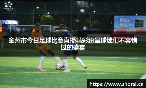安信12娱乐