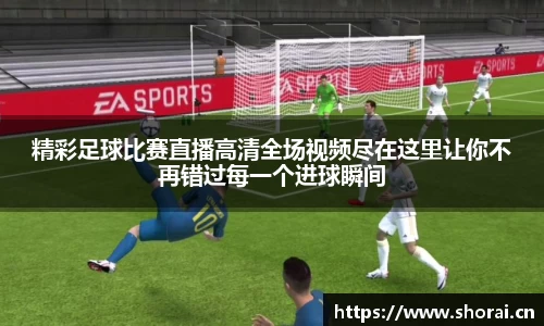 安信12娱乐