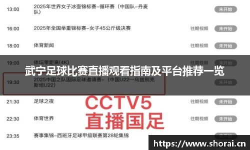 武宁足球比赛直播观看指南及平台推荐一览