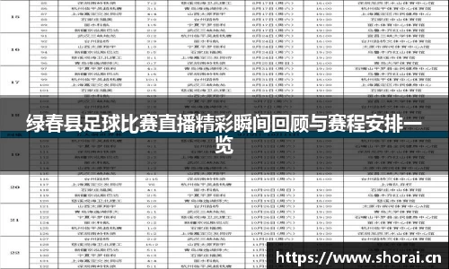 绿春县足球比赛直播精彩瞬间回顾与赛程安排一览