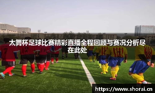 安信12