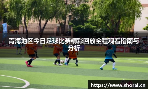 青海地区今日足球比赛精彩回放全程观看指南与分析