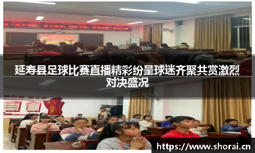 延寿县足球比赛直播精彩纷呈球迷齐聚共赏激烈对决盛况