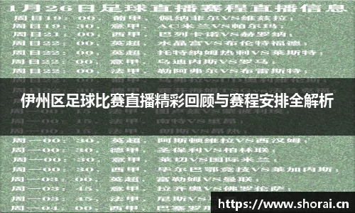 伊州区足球比赛直播精彩回顾与赛程安排全解析