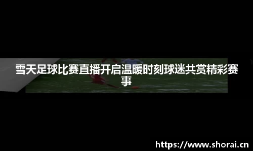 安信12娱乐