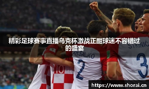 安信12娱乐