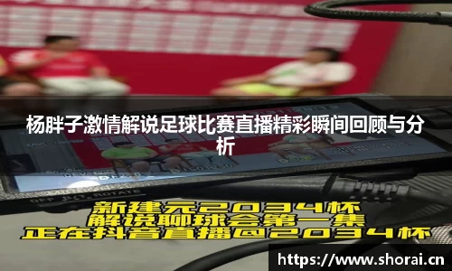 杨胖子激情解说足球比赛直播精彩瞬间回顾与分析