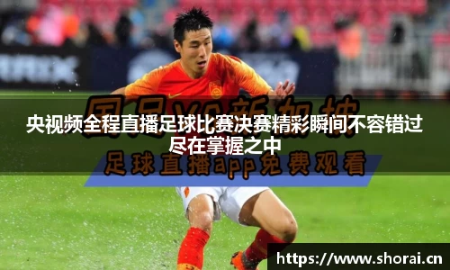 安信12娱乐