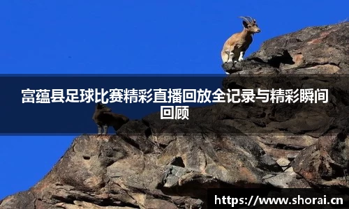 安信12娱乐官网