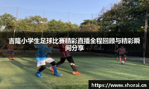 安信12娱乐官网