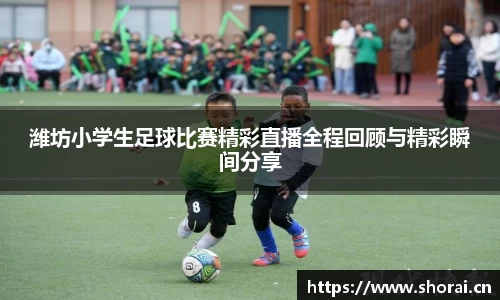 安信12娱乐平台
