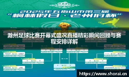 安信12娱乐