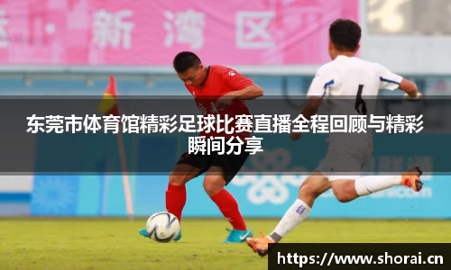 东莞市体育馆精彩足球比赛直播全程回顾与精彩瞬间分享