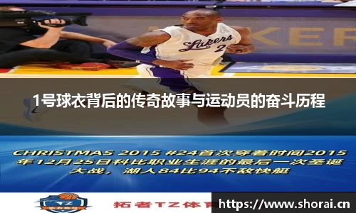 安信12娱乐官网