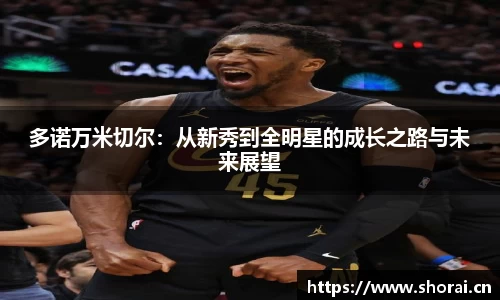 多诺万米切尔：从新秀到全明星的成长之路与未来展望