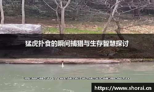 猛虎扑食的瞬间捕猎与生存智慧探讨