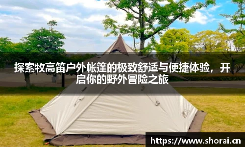 安信12娱乐